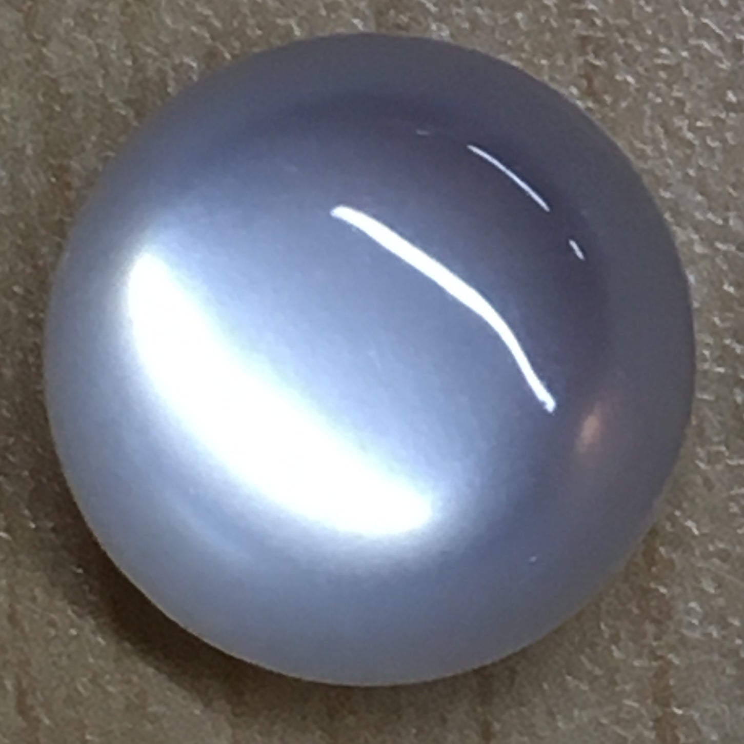 PEARL DOT BUTTON#16(3CRDx6pc) (BOX/04.003.18.01)