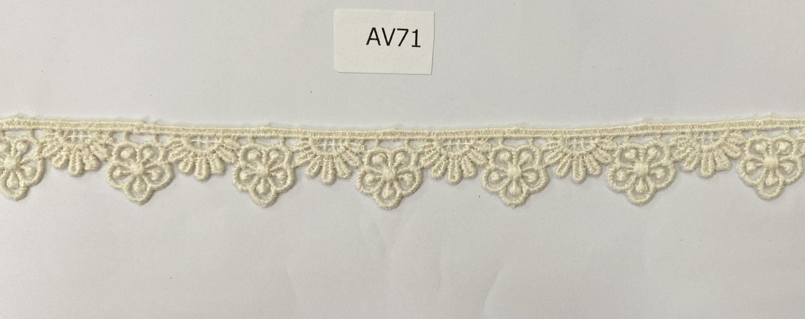 CH-CUT LACE W/TX:13.7MTx1.88CM (TX63-1079)