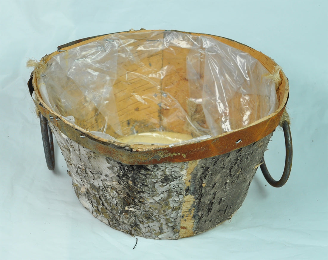 BIRCH BOWL :22X11 (43738H-22P)