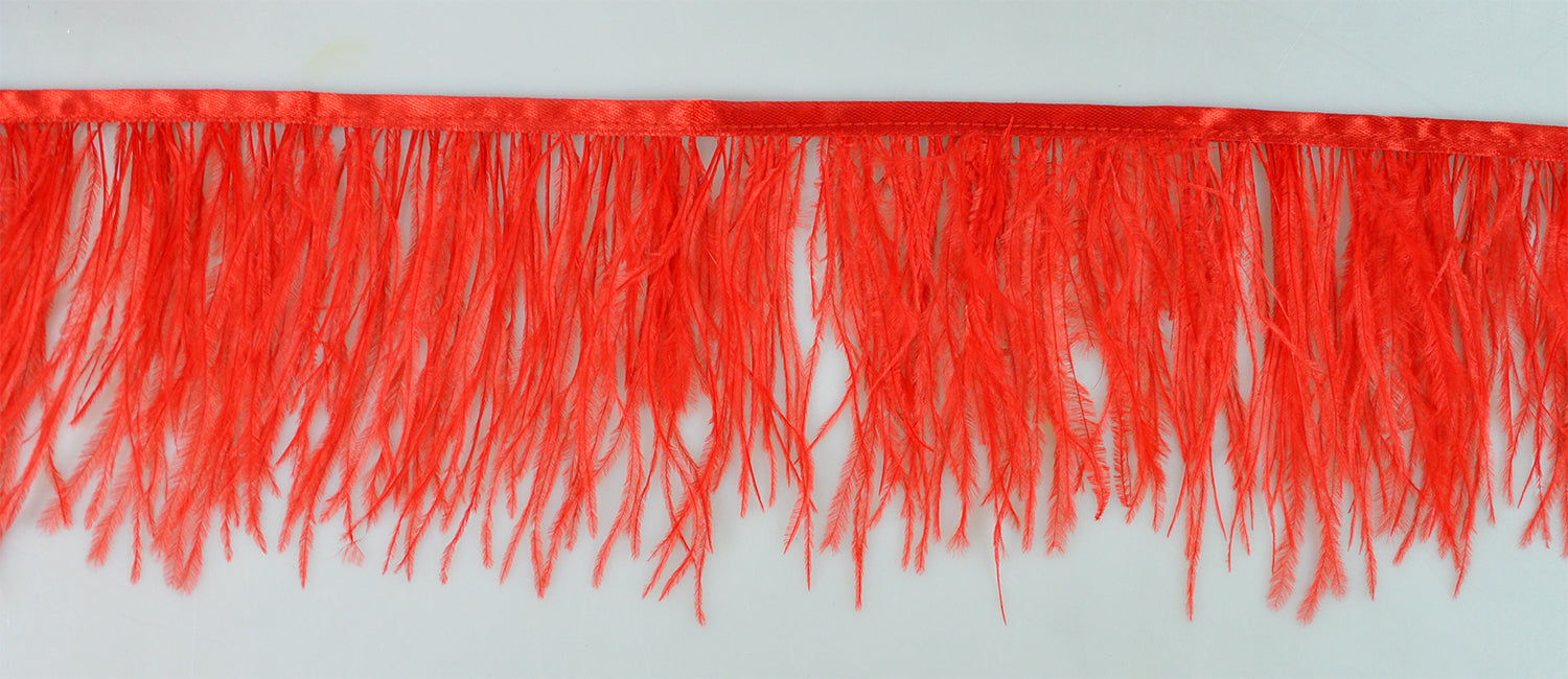 OSTRICH FEATHER TRIMMING:5Y (818-1506)