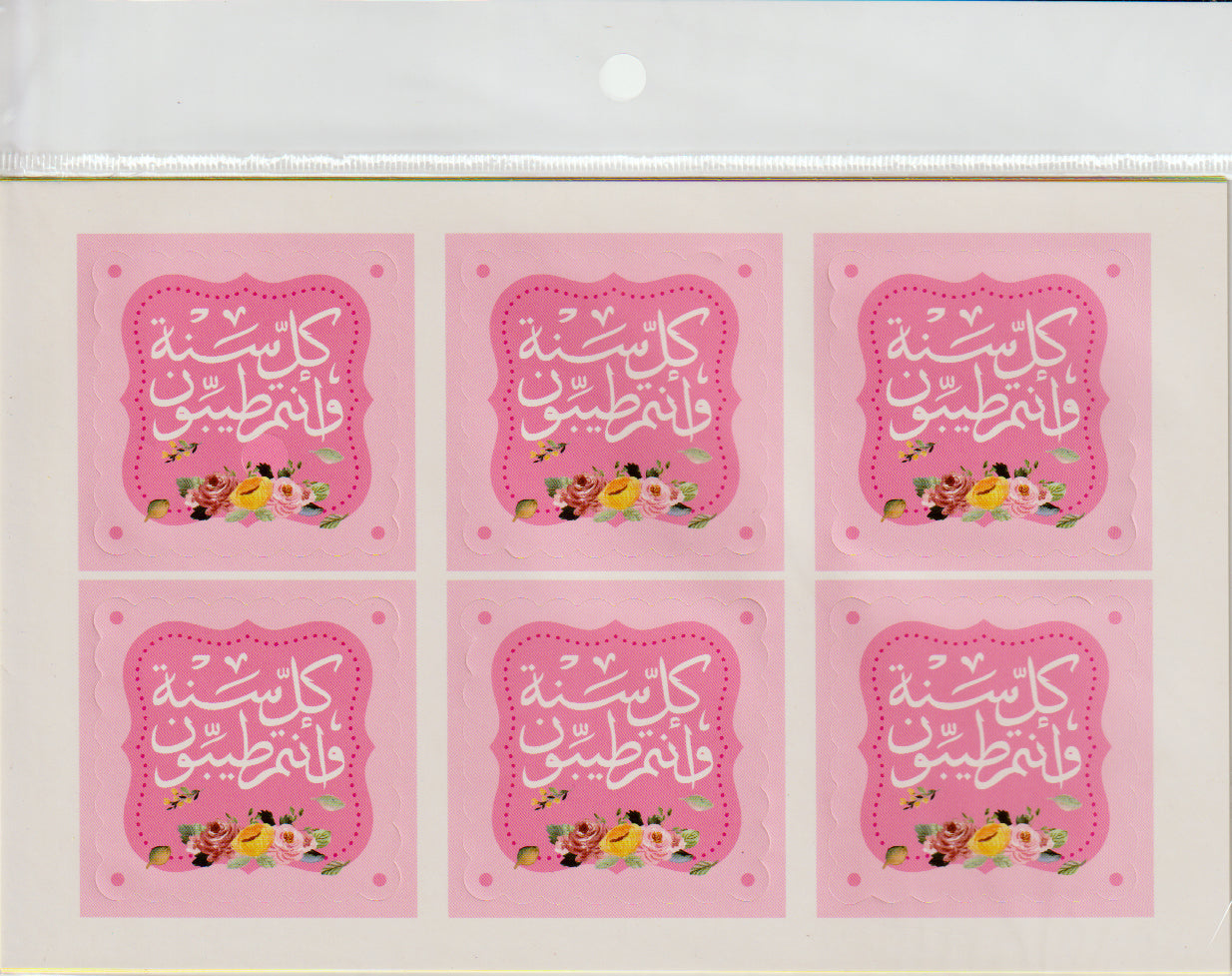PAPER STICKER:4SHT/PKT (A427/6)