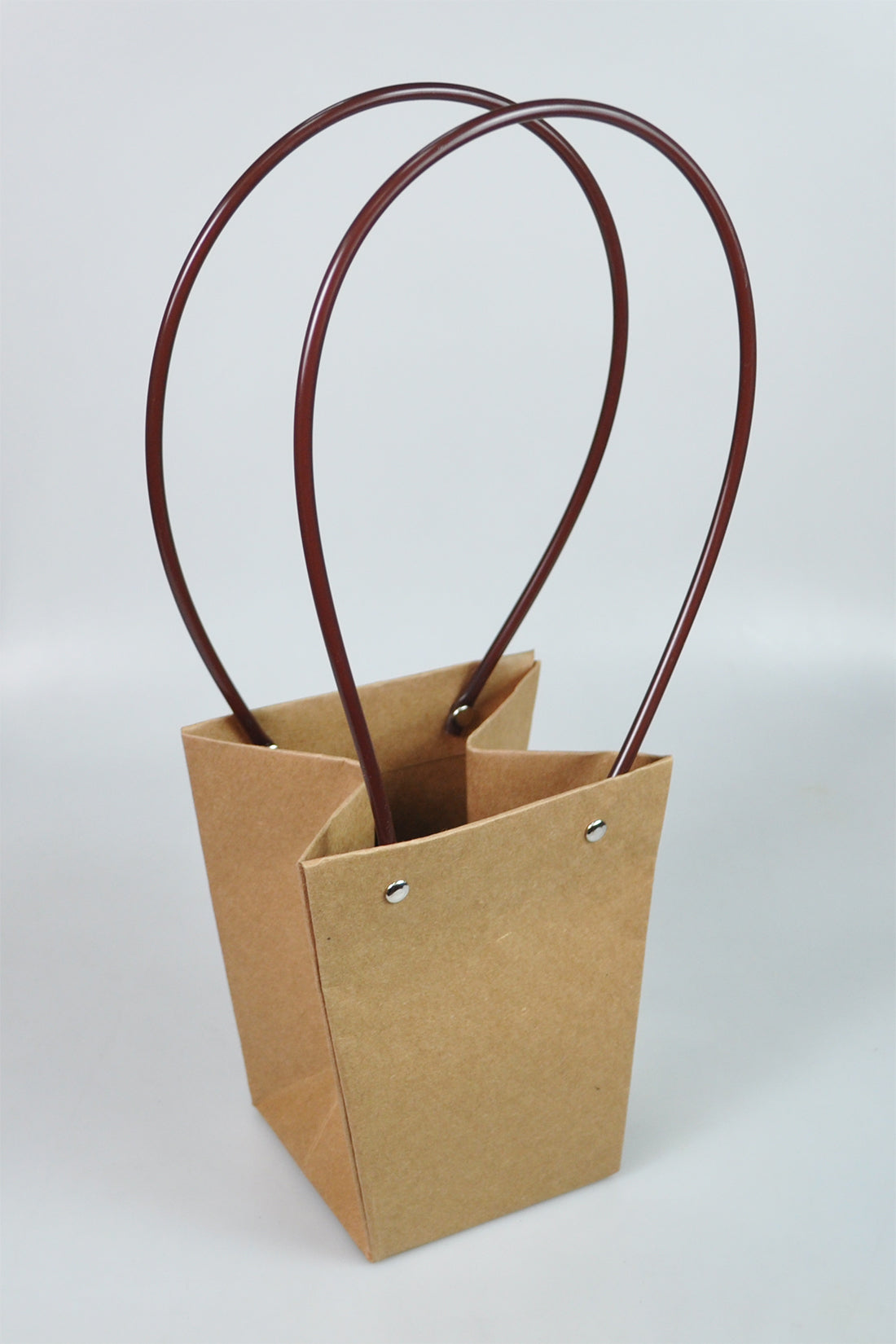 NATURAL PAPER BAG:10PC (0512/1)