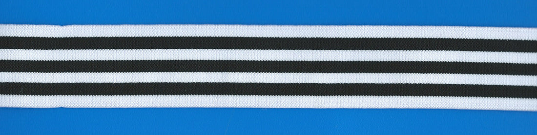 ELASTIC WEBBING:4 CM (EWB-104/MTR)