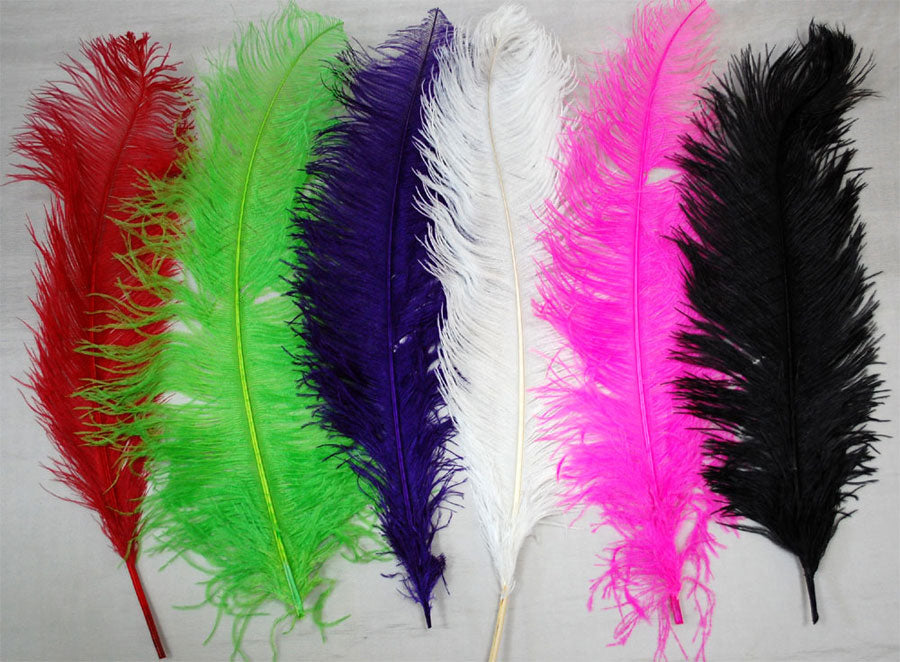 OSTRICH FEATHER:LARGE;5PC/BAG (MCN008L)