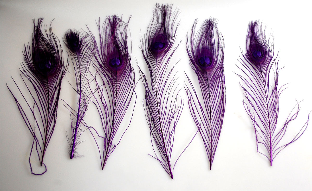 PEACOCK FEATHER:25PC/BAG (JF-PT-006S-1)