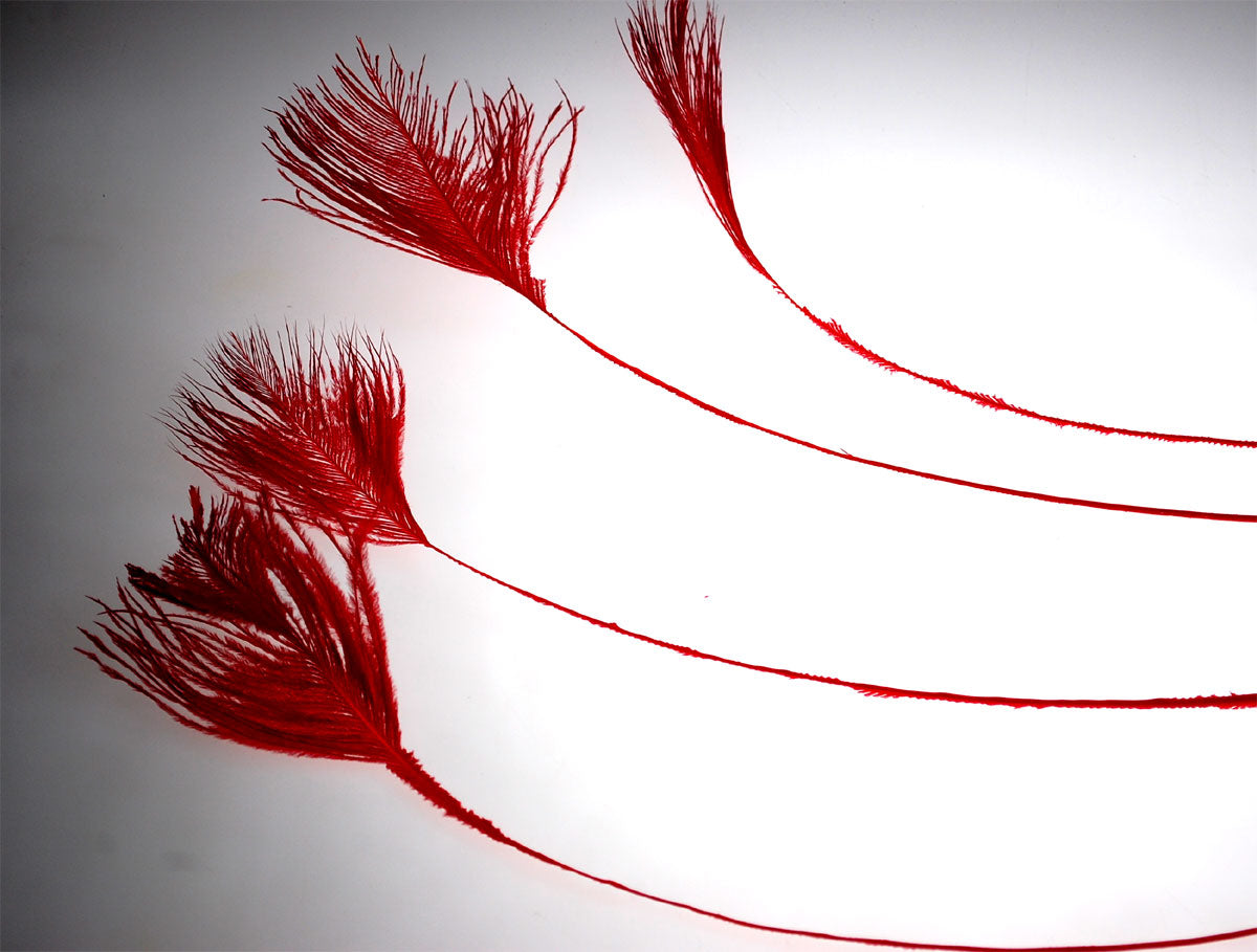 OSTRITCH FEATHER POLE:10PC/BAG (JF-F048/10)