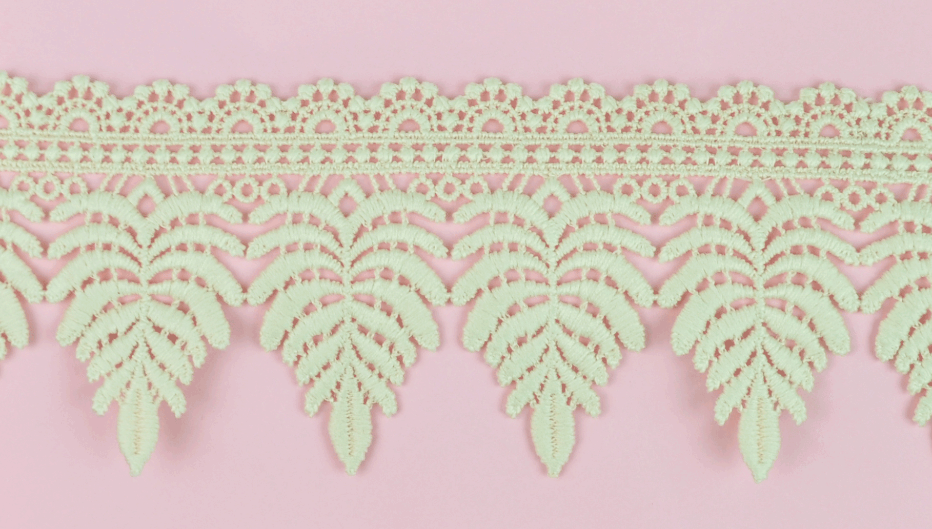 LACE:10YDS (A5563)