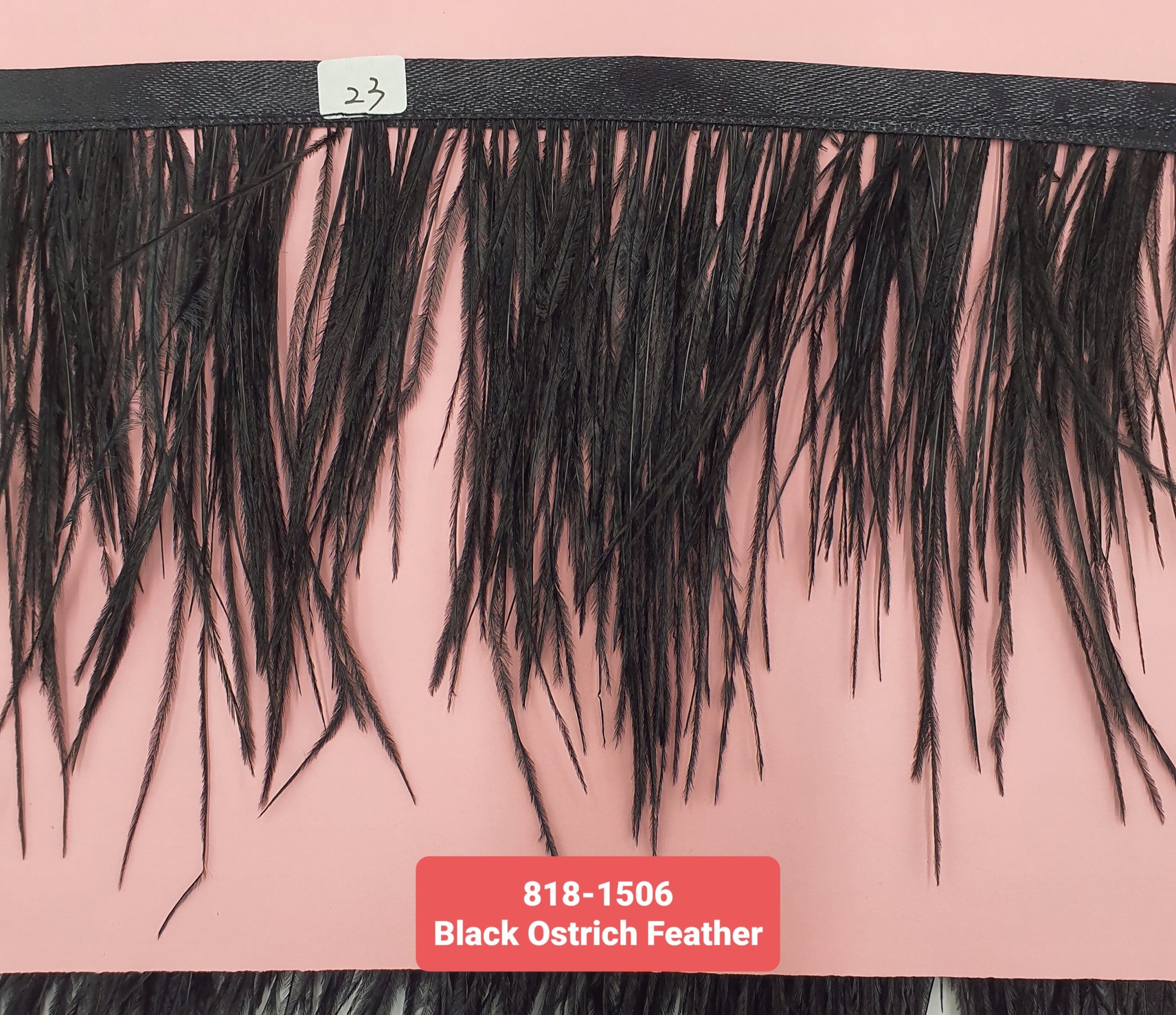 OSTRICH FEATHER TRIMMING:5Y (818-1506)
