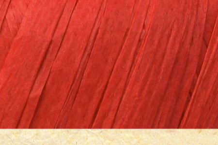 RAYON YARN,40GR*3BL (FIBRA/RAFFIA)