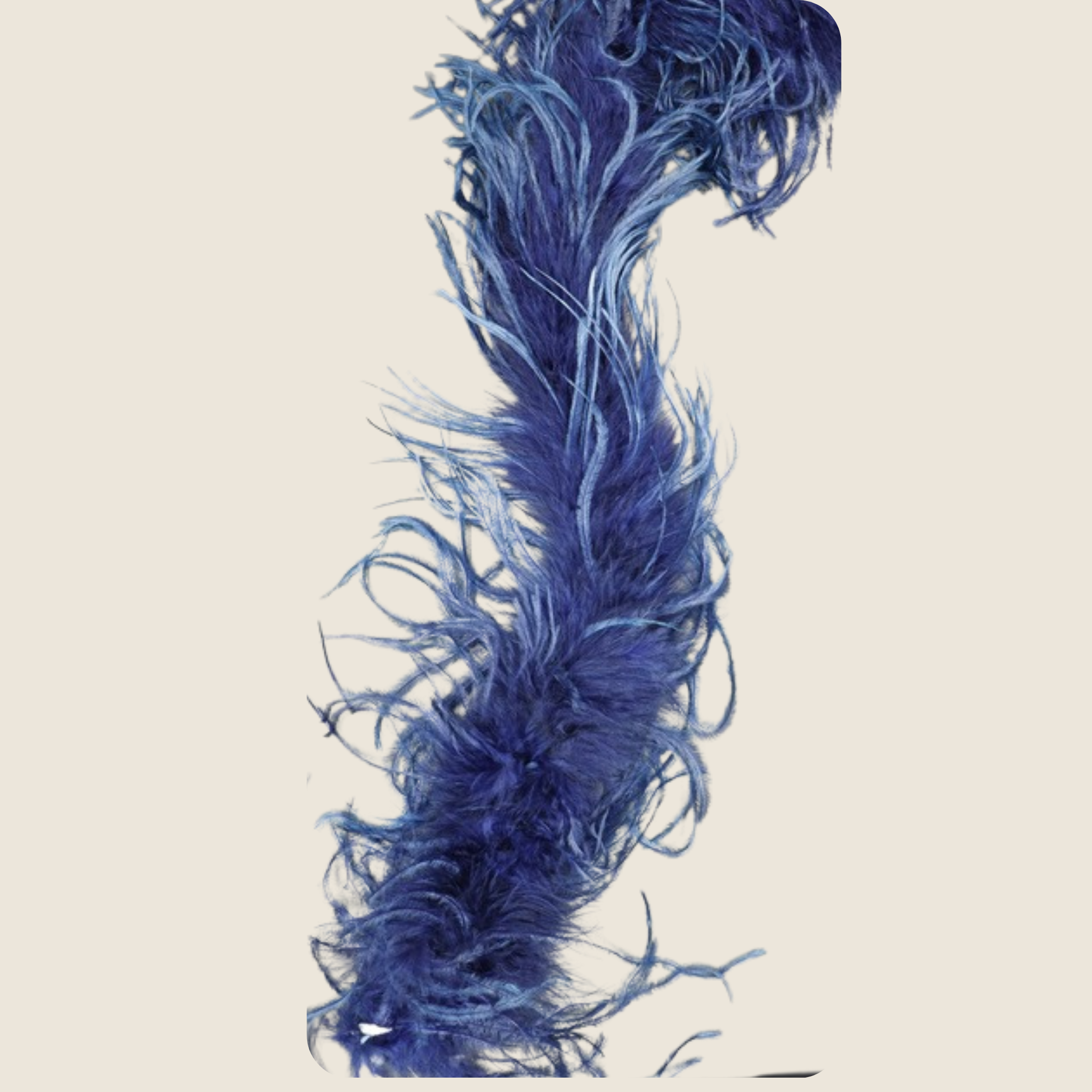 OSTRICH FEATHER:2YD (1.84MTR) (MCN009)