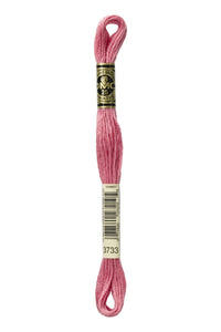 DMC Mouliné Spécial Embroidery Floss — 8 m × 12 (117)