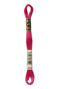 DMC Mouliné Spécial Embroidery Floss — 8 m × 12 (117)