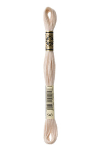 DMC Mouliné Spécial Embroidery Floss — 8 m × 12 (117)