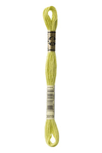 DMC Mouliné Spécial Embroidery Floss — 8 m × 12 (117)