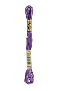 DMC Mouliné Spécial Embroidery Floss — 8 m × 12 (117)
