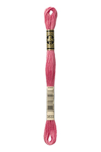 DMC Mouliné Spécial Embroidery Floss — 8 m × 12 (117)