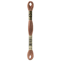 DMC Mouliné Spécial Embroidery Floss — 8 m × 12 (117)