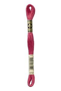 DMC Mouliné Spécial Embroidery Floss — 8 m × 12 (117)