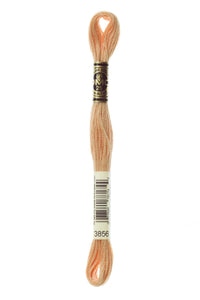 DMC Mouliné Spécial Embroidery Floss — 8 m × 12 (117)