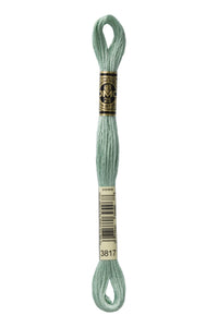 DMC Mouliné Spécial Embroidery Floss — 8 m × 12 (117)