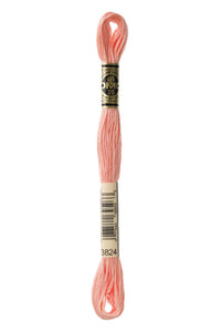 DMC Mouliné Spécial Embroidery Floss — 8 m × 12 (117)