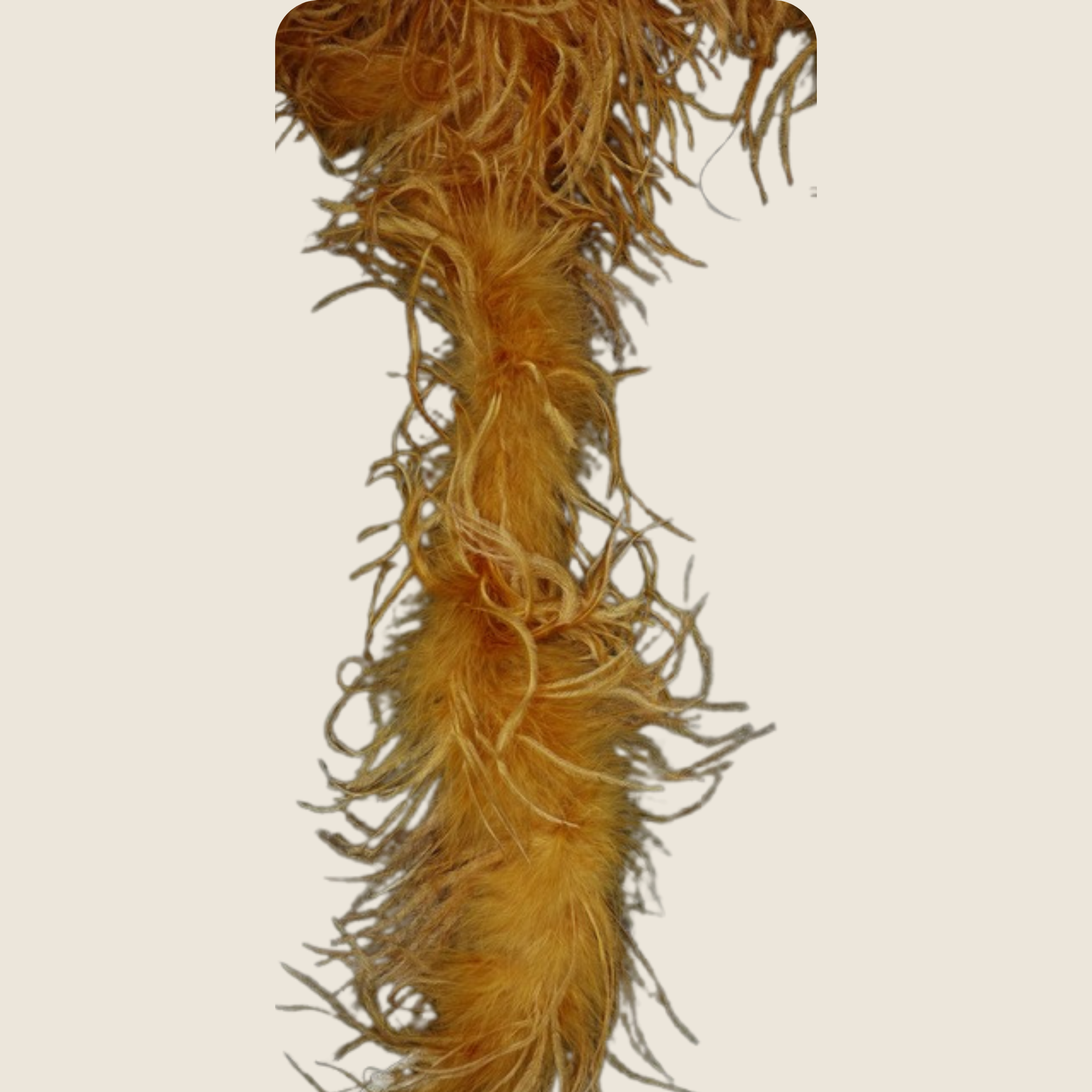 OSTRICH FEATHER:2YD (1.84MTR) (MCN009)