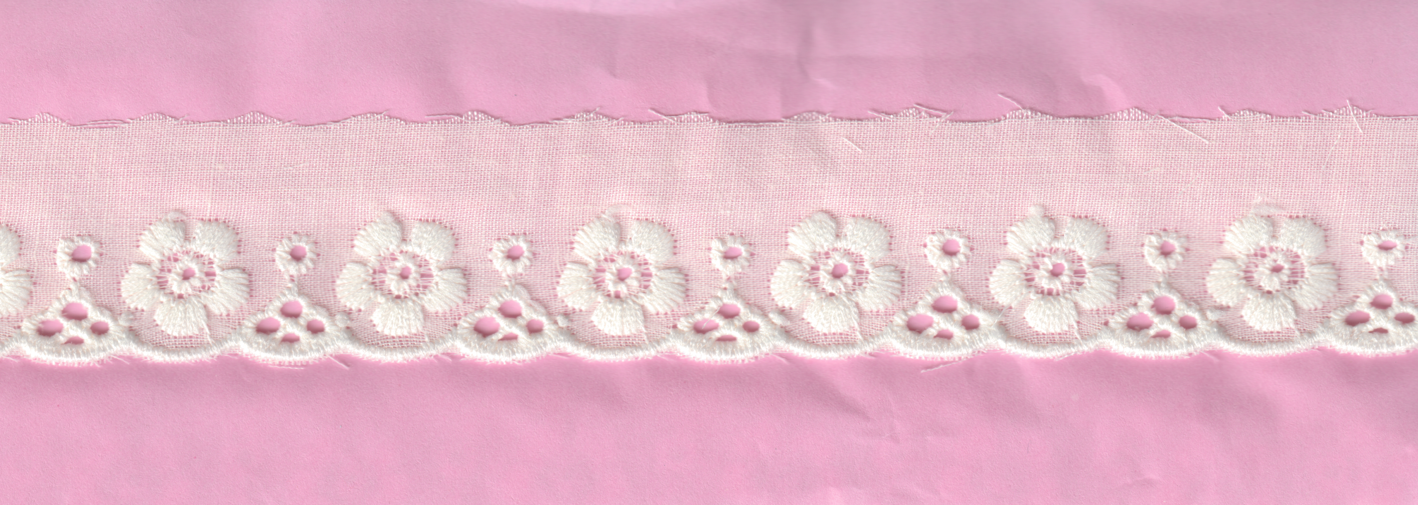 TC CUT-LACE W/TEX:13.7MT:2.5CM (CX52-4558)