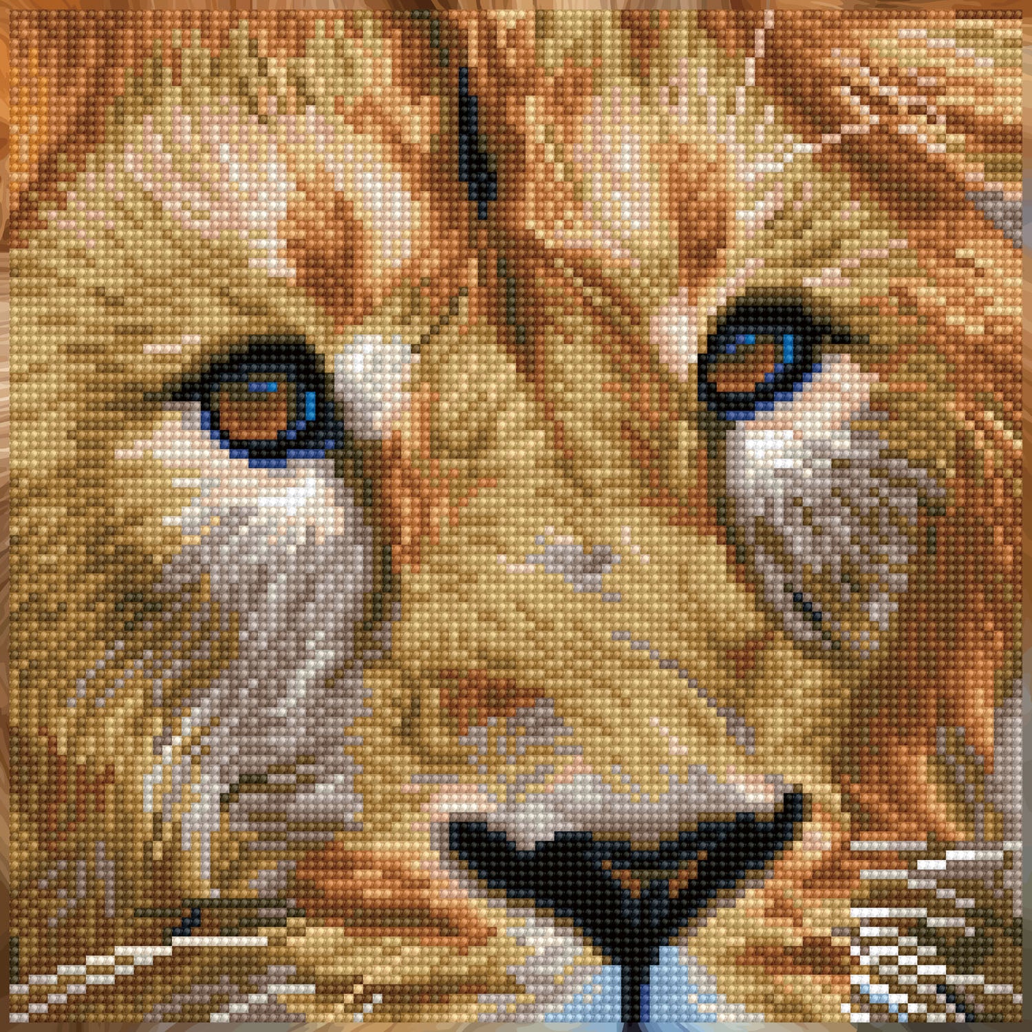 DIAMOND FACET ART KIT 12x12in (DD5.076)