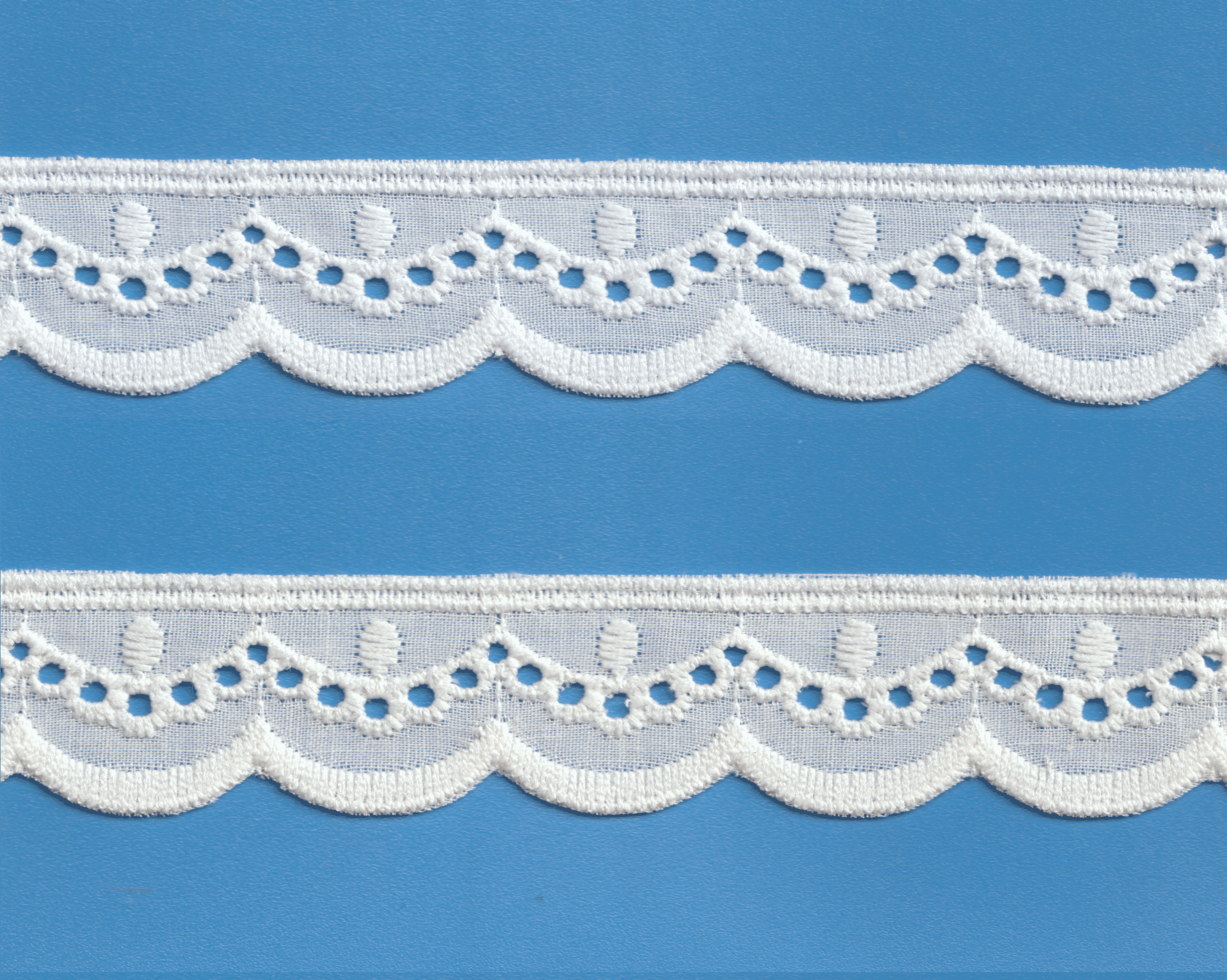 TC CUT-LACE W/TX:13.7MTR:2.5CM (CX63-4039)