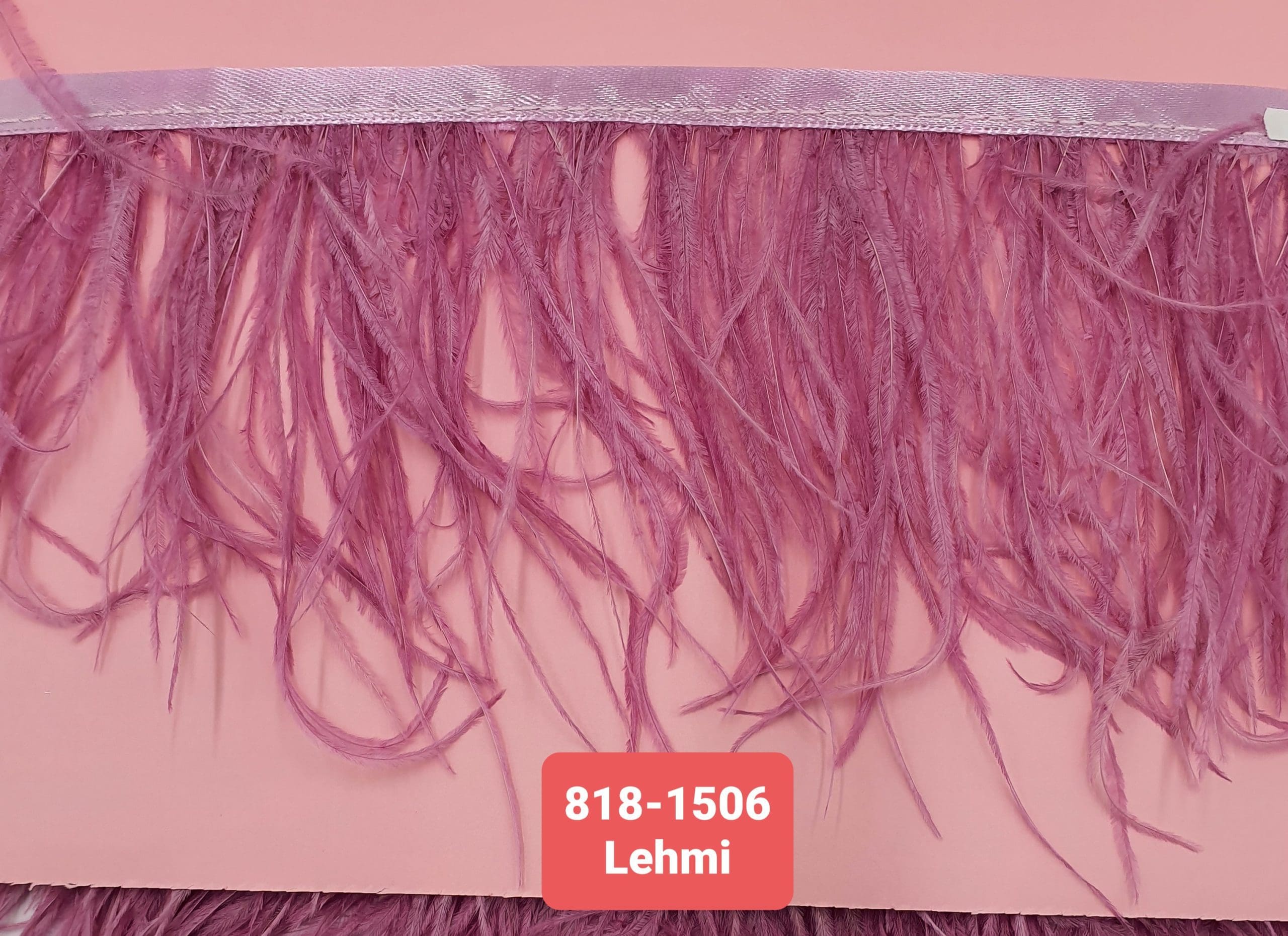 OSTRICH FEATHER TRIMMING:5Y (818-1506)