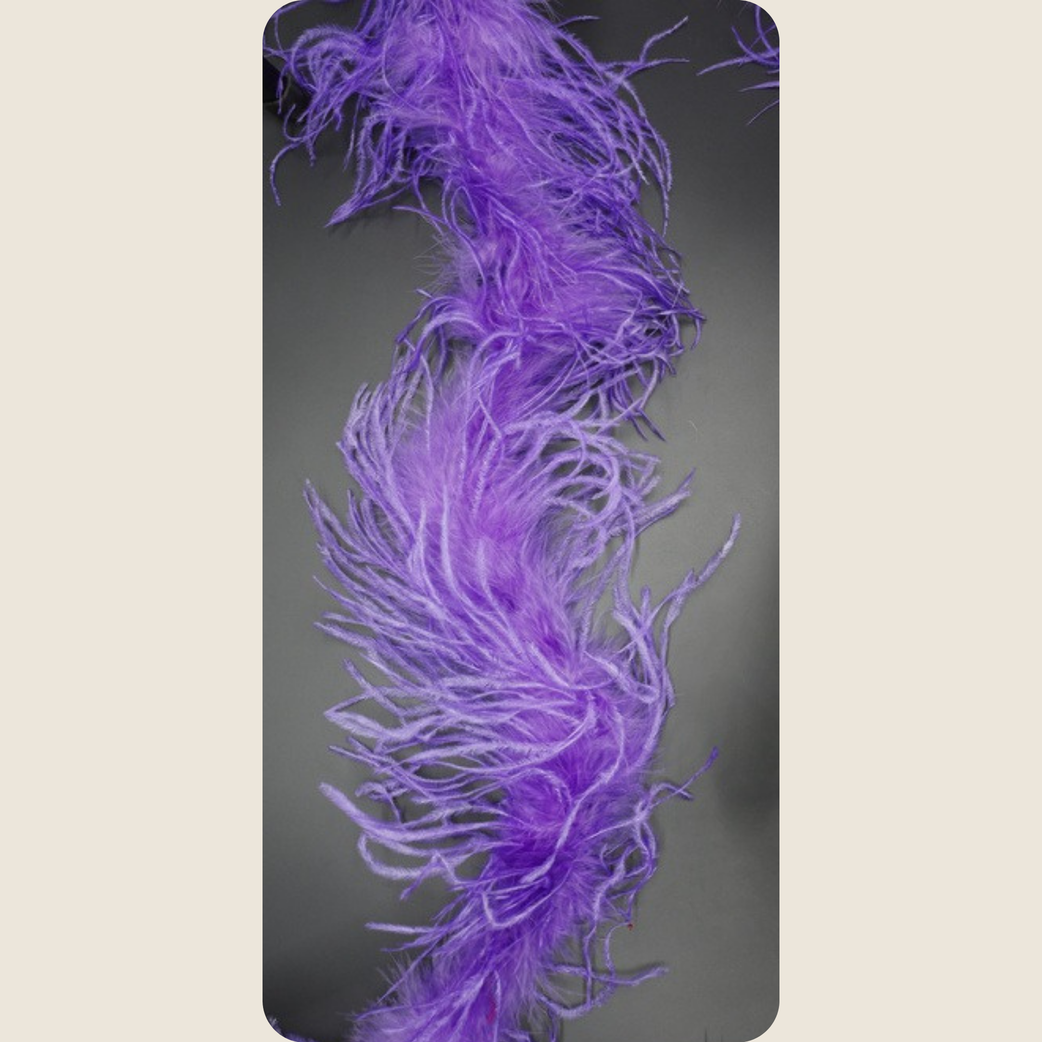 OSTRICH FEATHER:2YD (1.84MTR) (MCN009)