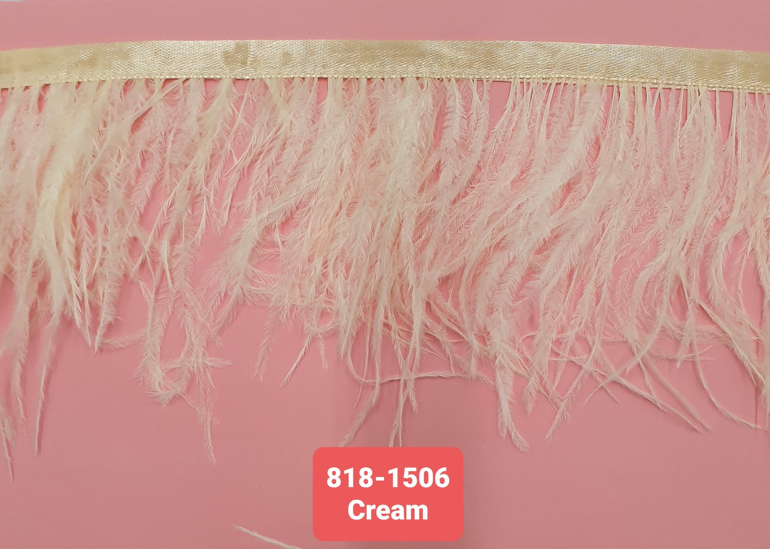 OSTRICH FEATHER TRIMMING:5Y (818-1506)