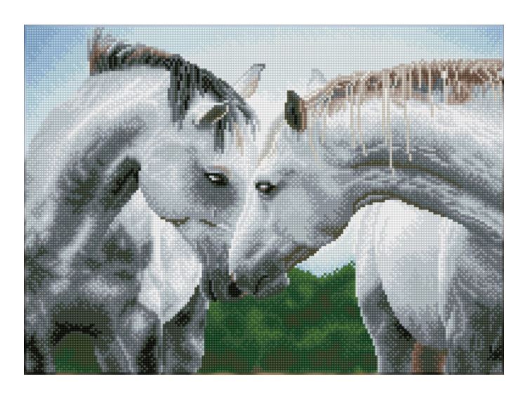 DIAMOND FACE ART KIT 14.96x20.47 in (DQ10.012)
