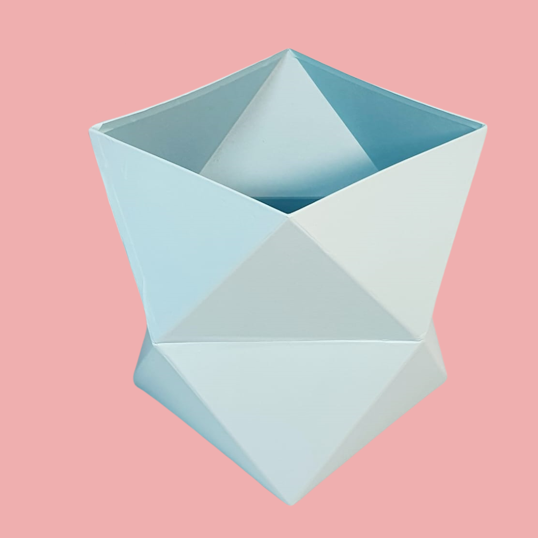 PAPER BOX:S/2 (W2571)