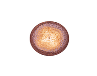YarnArt Flowers Moon Metallic Cotton Blend Yarn – 260 g – Pack of 2 (Y-ART/FLOWERS MOON)