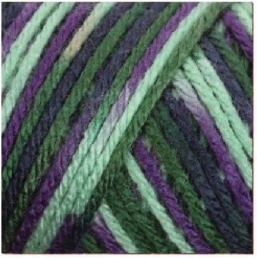 ACR.YARN:141GRx3PC (423GRM) (CARON/PAINTS)