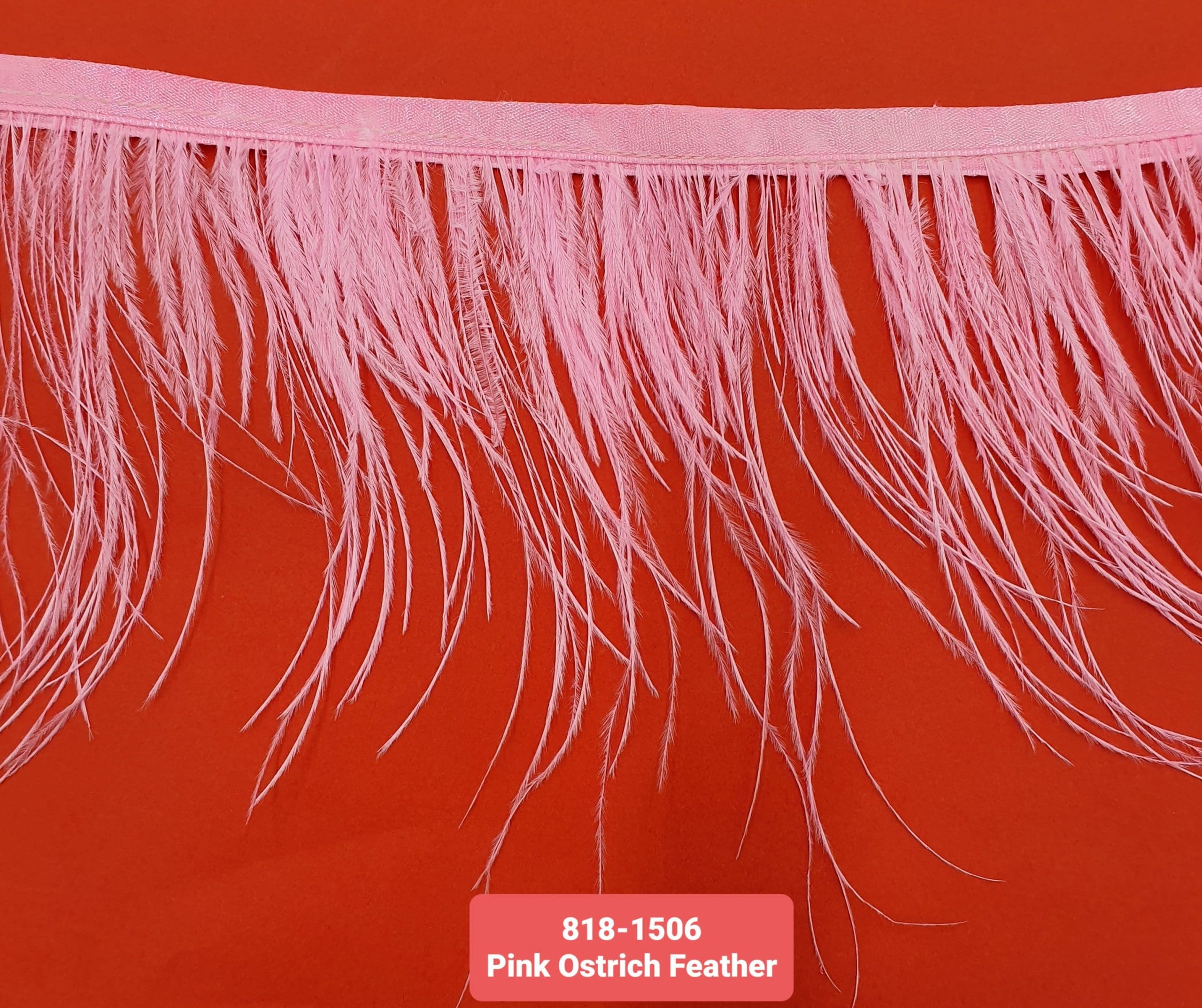 OSTRICH FEATHER TRIMMING:5Y (818-1506)