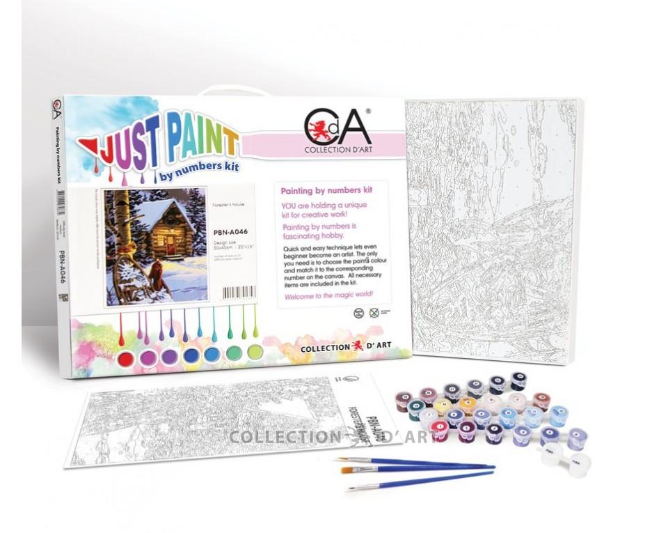 PAINT BY NUMBERS KIT:50X40CM (PBN-A112)