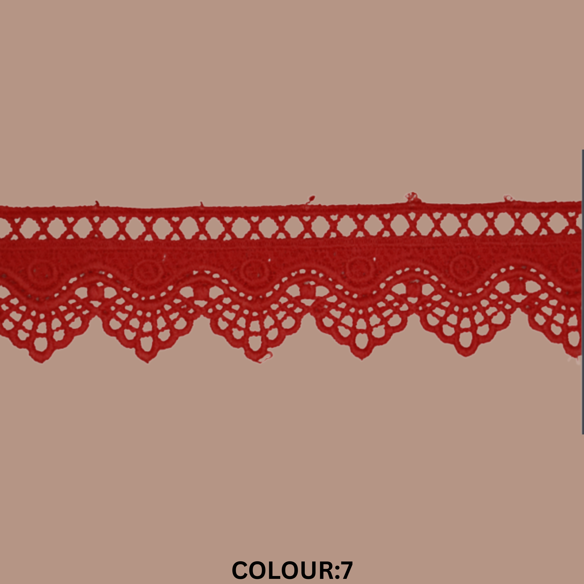 Guipure Lace Trimming – 4CM x 10MTR M-8 (M8)