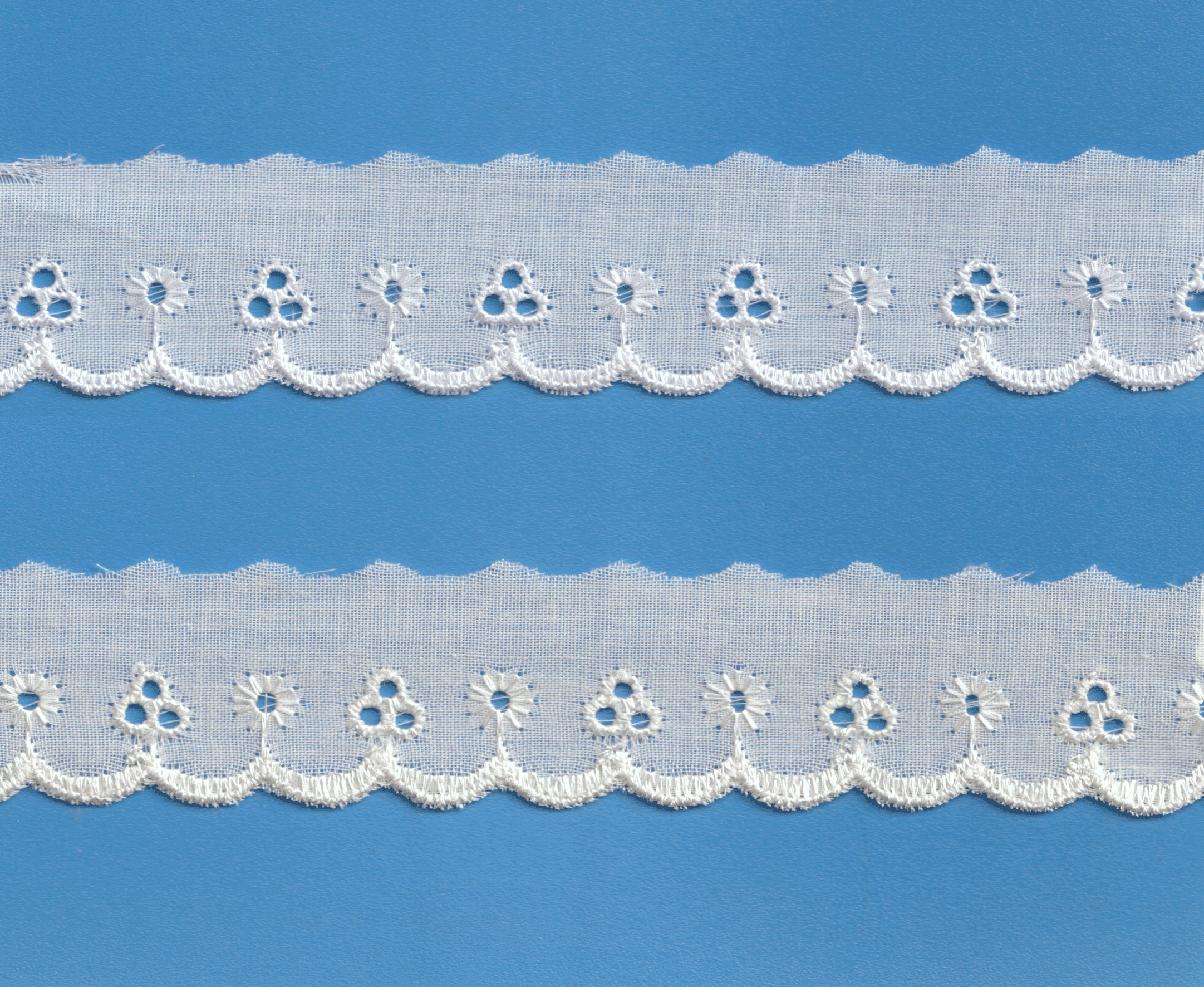 TC-CUT-LACE :13.7MX10pc:2.5CM (D-63-4049)