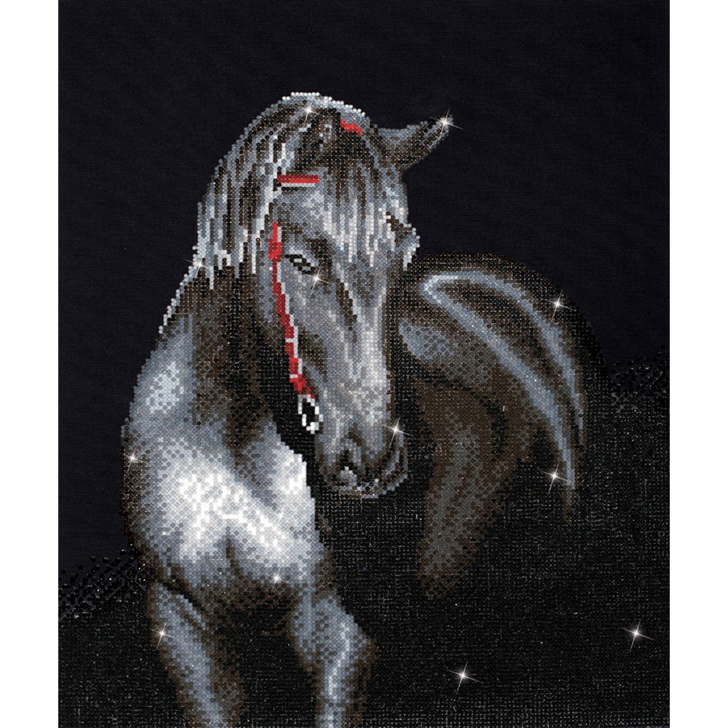 ART KIT:MIDNIGHT STALLION 20.9 x 16.5 in(DD10.012)