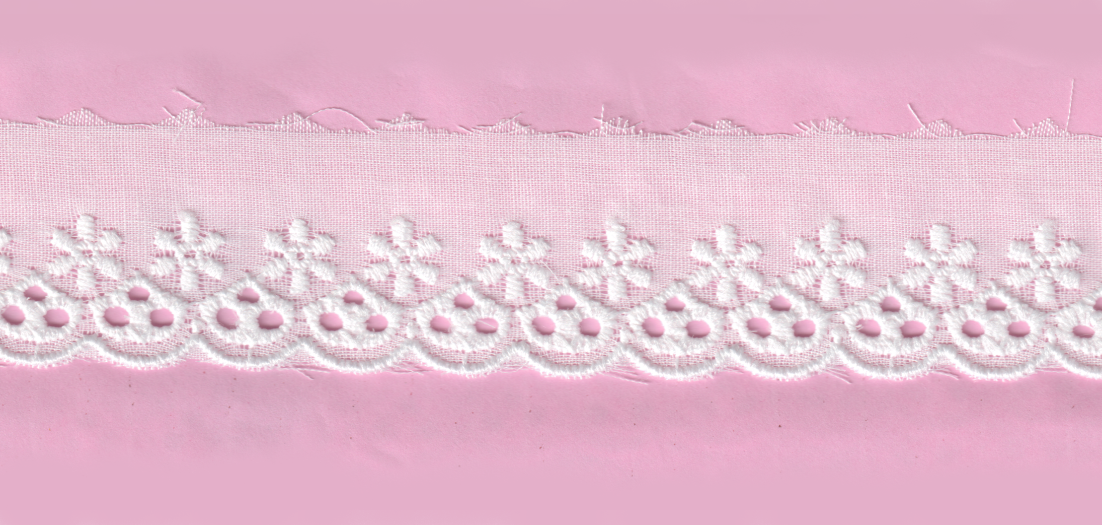 TC CUT-LACE W/TEX:13.7MT:2.5CM (CX52-4550)