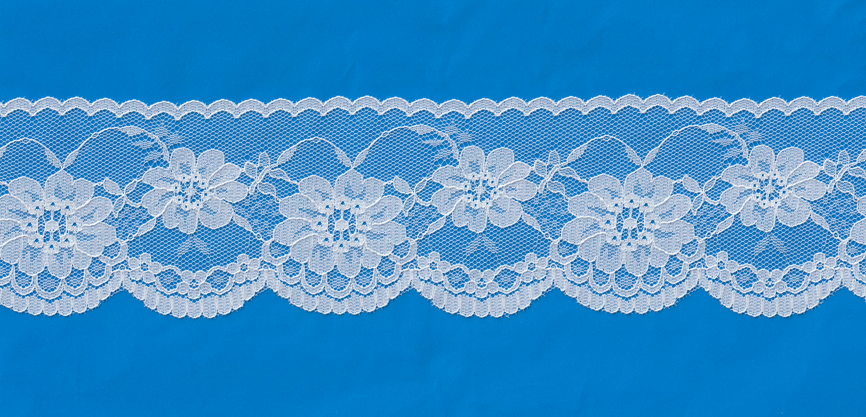 NYL.RASCHEL LACE:72Y (MWT813)