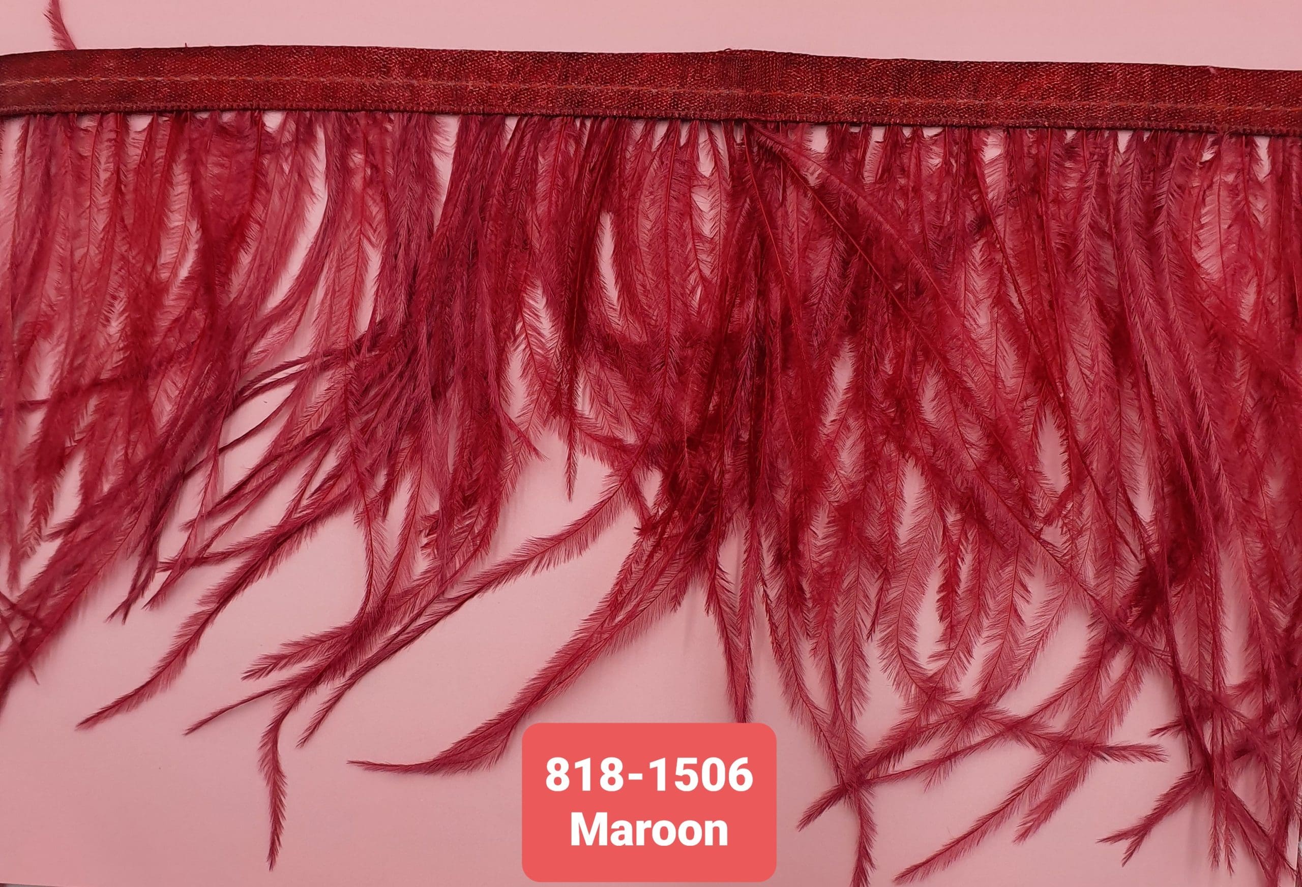 OSTRICH FEATHER TRIMMING:5Y (818-1506)
