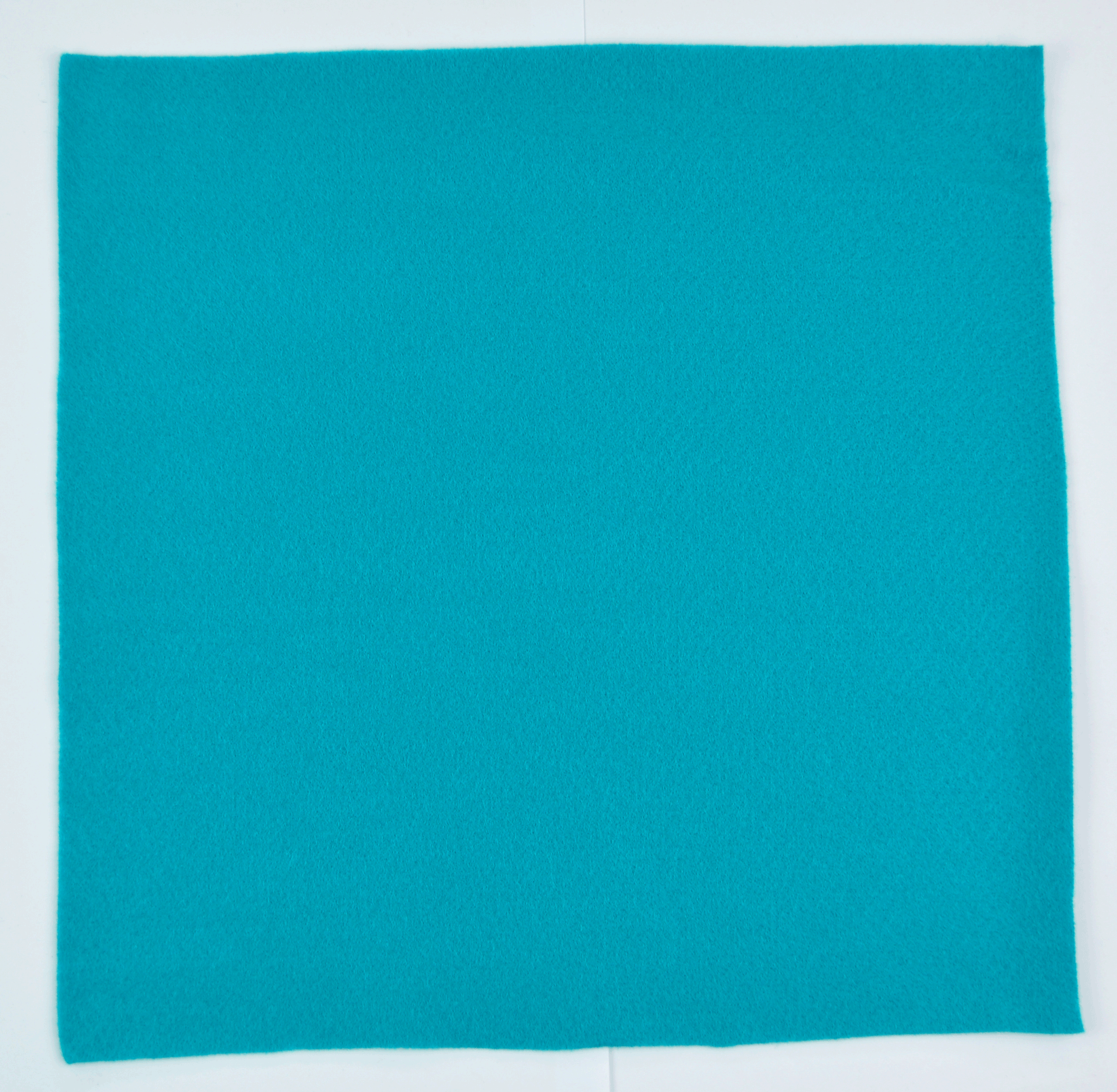 ACR NEEDLE FELT:10PC/BAG (ANF-JC3030B)
