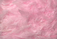 Feather Trimming – 2 yd (MCN002)