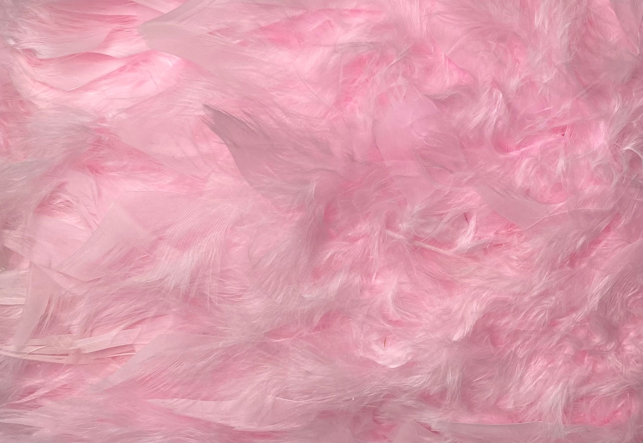 FEATHER TRIMMING;2YD (MCN002)