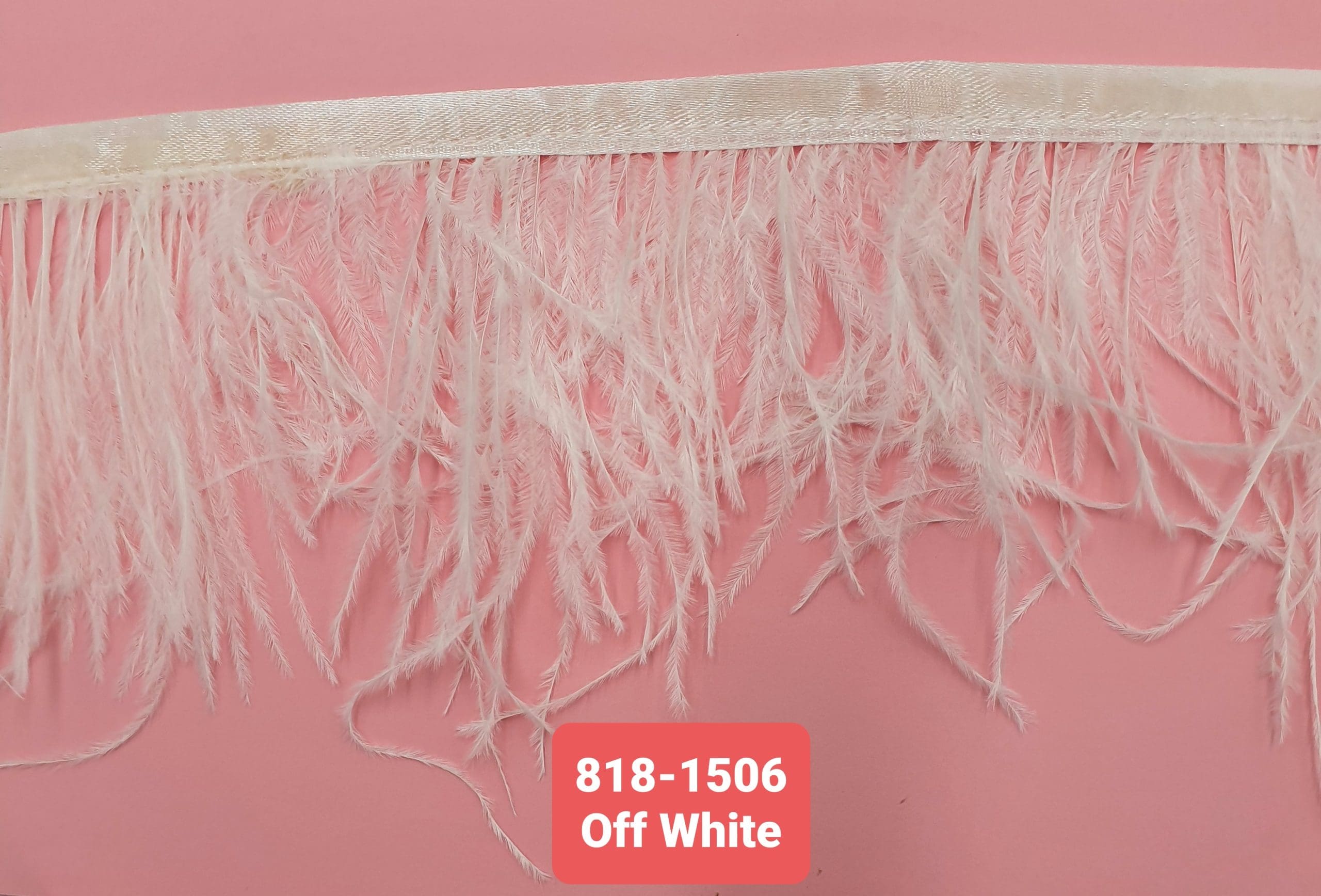 OSTRICH FEATHER TRIMMING:5Y (818-1506)