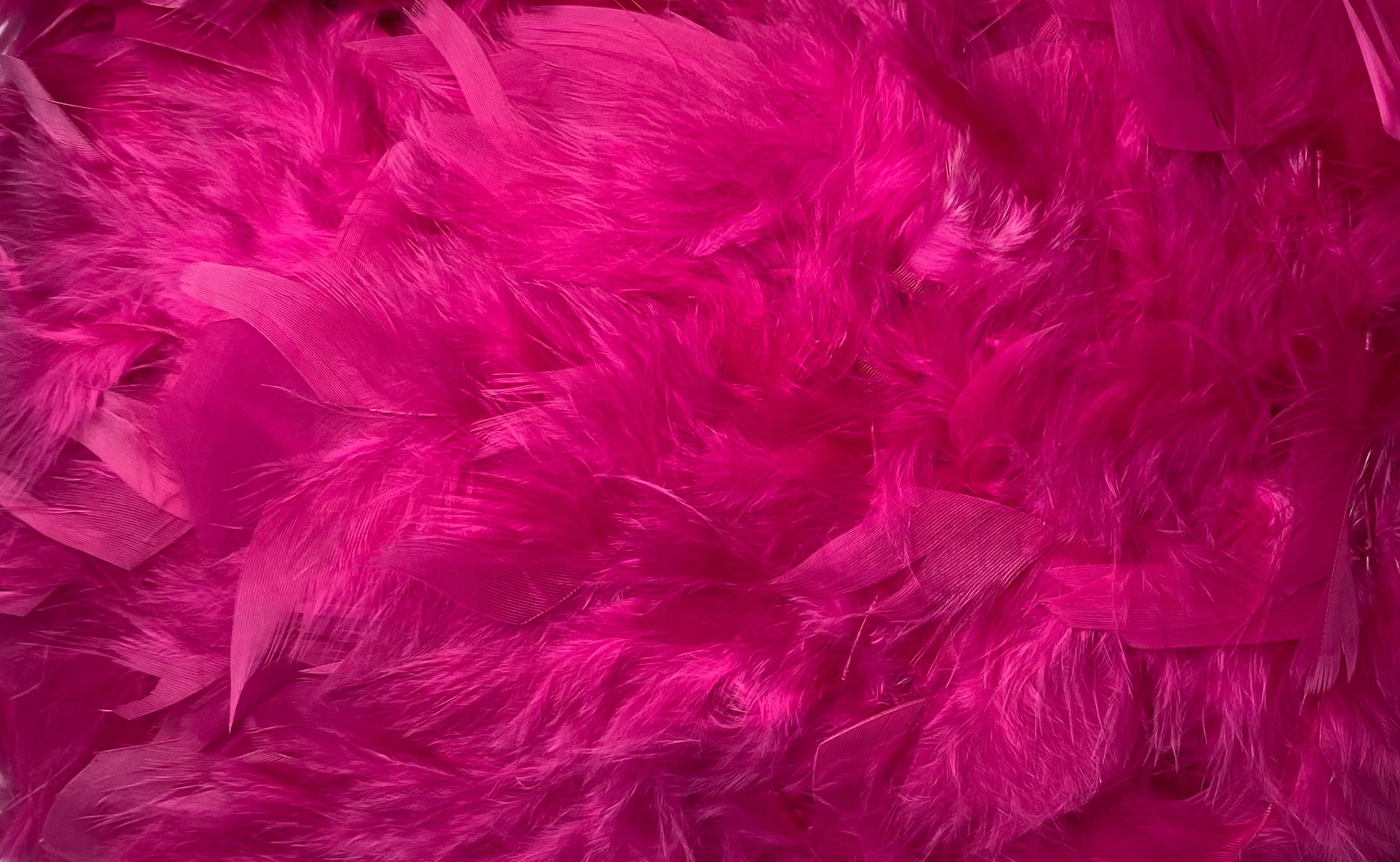 FEATHER TRIMMING;2YD (MCN002)