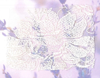 POL/NET CUT LACE:15Y:7.5" (D-57-4123)